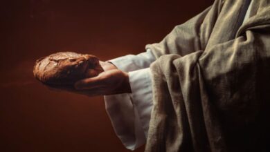 Jesus o verdadeiro pão da vida - sermão em joão 6