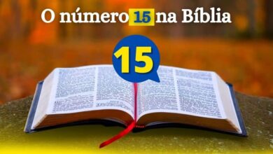 Número 15 na Bíblia e seu Significado
