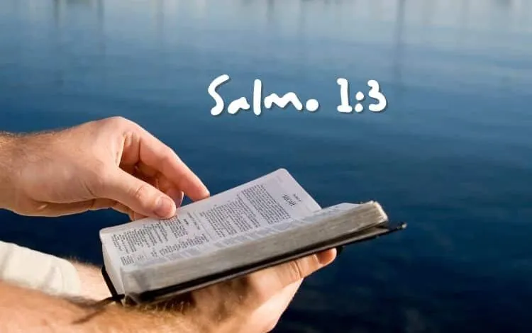 Salmo 1-3 Significado e Comentário com Explicação