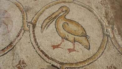 Mosaico de Aves e Mesa de Vidro Dourado Desenterram Tesouros Bizantinos em Cesareia