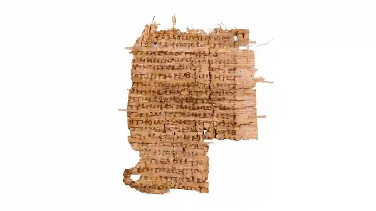 papiro - material usado para escrituras sagradas