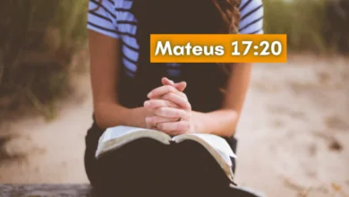 Mateus 17-20 Significado e Comentário com Explicação