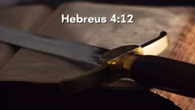 Hebreus 4-12 Significado e Comentário com Explicação