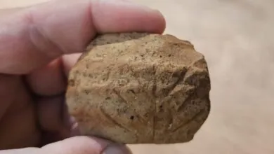 Menorah ou Ramo de Palmeira? Enigma Arqueológico em Jerusalém