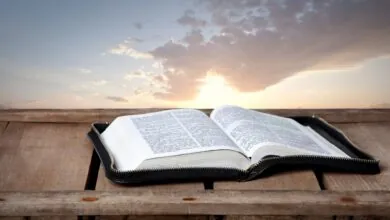 Bíblia é um Livro Sempre Novo e Inesgotável