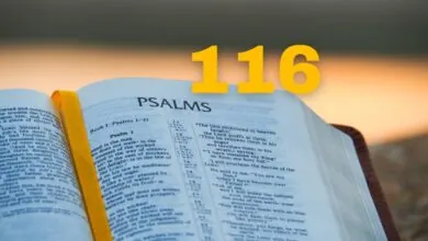 Salmo 116 Estudo versículo por versículo comentado e explicado