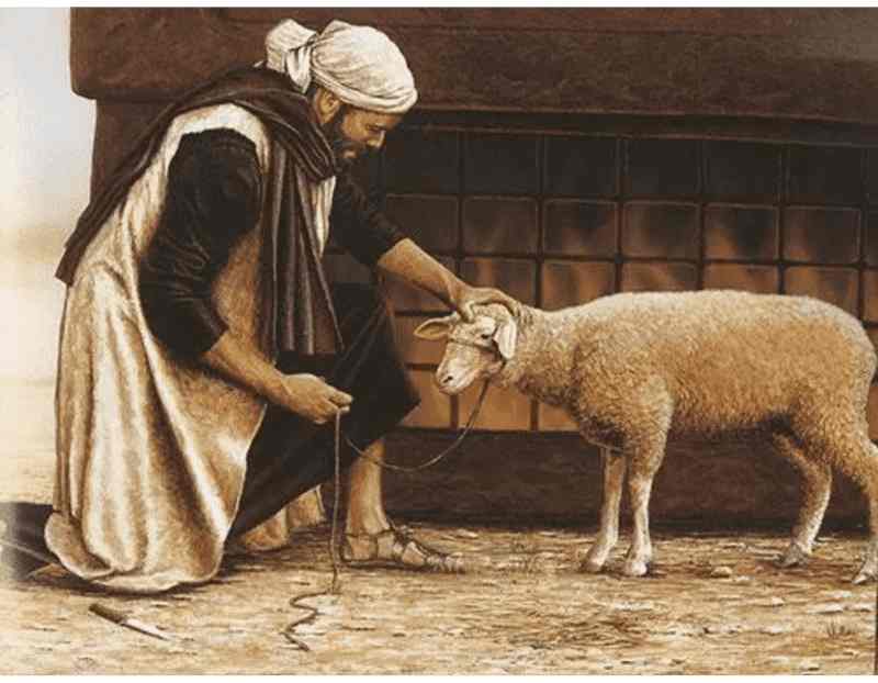 cordeiro (ovelha) como alimento nos tempos bíblicos