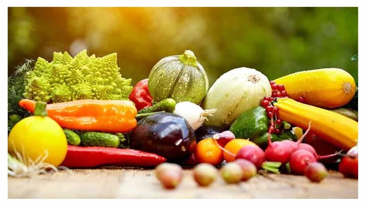 os vegetais dos tempos bíblicos - alimentações e refeições