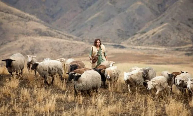 como era o trabalho do pastor de ovelhas nos tempos bíblicos