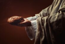 Jesus o verdadeiro pão da vida - sermão em joão 6