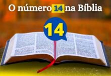 O número 14 na Bíblia significado