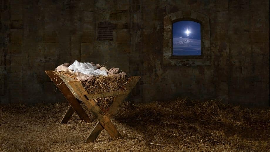 Sermão para véspera de Natal: Por que a manjedoura?