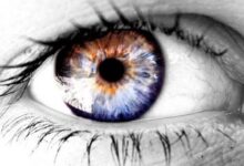 Quem é a menina dos olhos que a Bíblia se refere