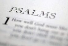 Quais são os 5 tipos diferentes de salmos
