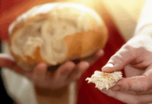 Sermão em João 6-35 - Eu Sou o Pão da Vida