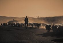 TEOLOGIA PASTORAL