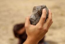 Aquele que não tem pecado que atire a primeira pedra