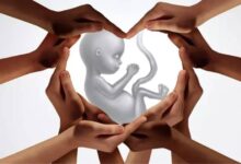 aborto é pecado