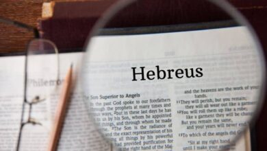 Quem escreveu o livro de Hebreus
