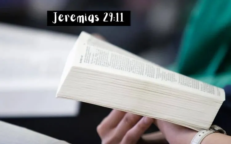 Jeremias 29-11 Significado e Comentário com Explicação