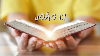 João 1-1 Significado e Comentário com Explicação