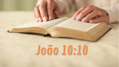 João 10-10 Significado de Roubar Matar e Destruir