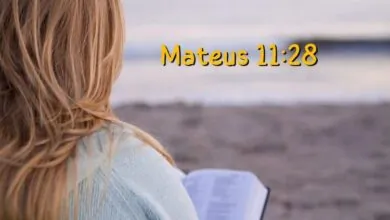 Mateus 11-28 Significado e Comentário com Explicação
