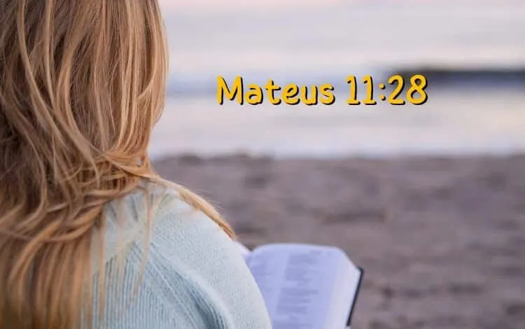 Mateus 11-28 Significado e Comentário com Explicação