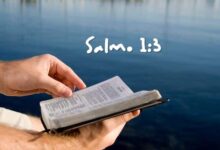 Salmo 1-3 Significado e Comentário com Explicação