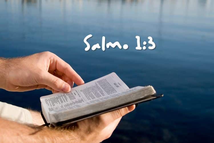 Salmo 1-3 Significado e Comentário com Explicação
