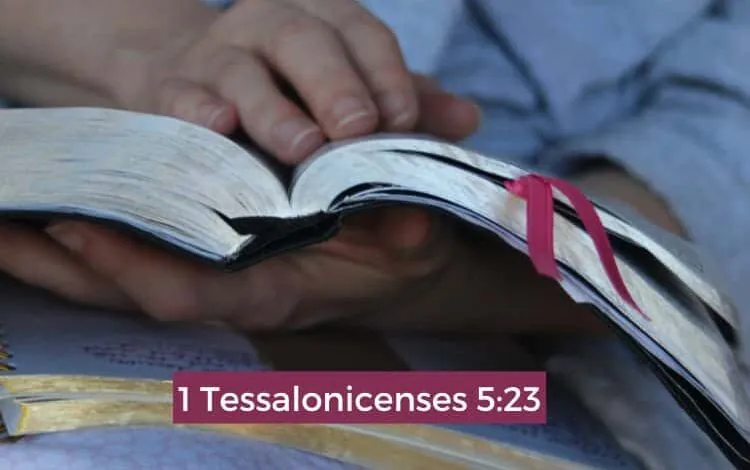 1 Tessalonicenses 5-23 Significado e Comentário com Explicação