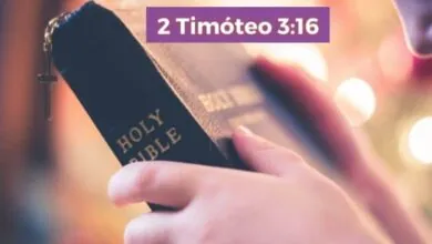 2 Timóteo 3-16 Significado e Comentário com Explicação