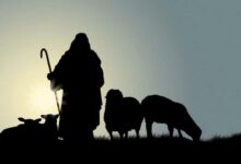 Sermão salmo 23 Por que o Senhor é o meu Pastor