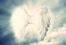 Anjo do Senhor