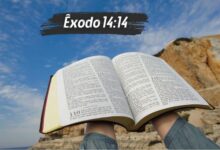 Êxodo 14-14 Significado do Versículo Comentado e Explicado