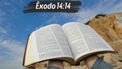 Êxodo 14-14 Significado do Versículo Comentado e Explicado