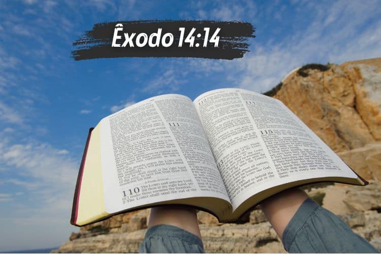  xodo 14 14 Significado O Senhor Pelejar Por V s E Calareis 