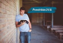 Provérbios 24-16 Significado do Versículo Comentado e Explicado