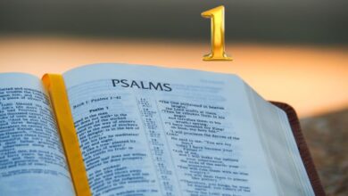 Salmo 1- Estudo versículo por versículo