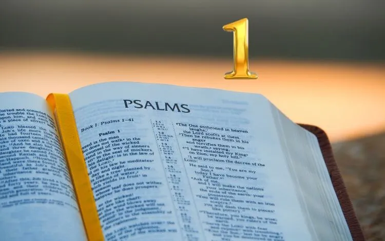 Salmo 1- Estudo versículo por versículo