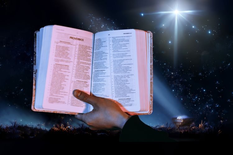 25 Sermões e Estudos para pregar no Natal