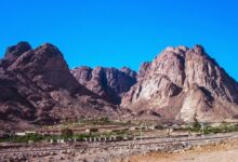 monte sinai