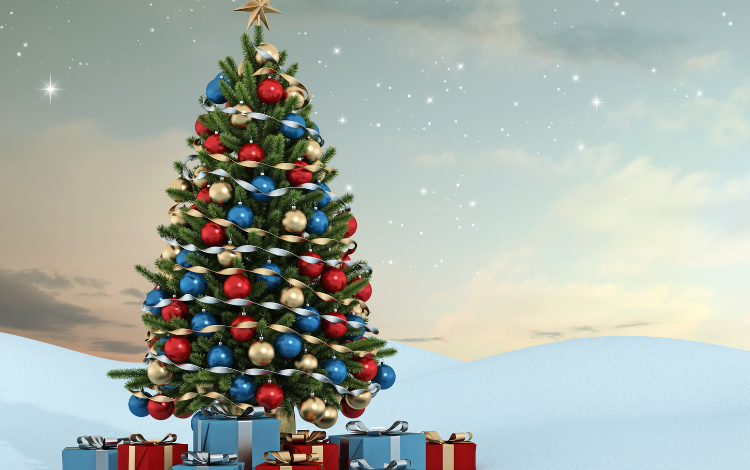 Qual a origem das Árvores de Natal?