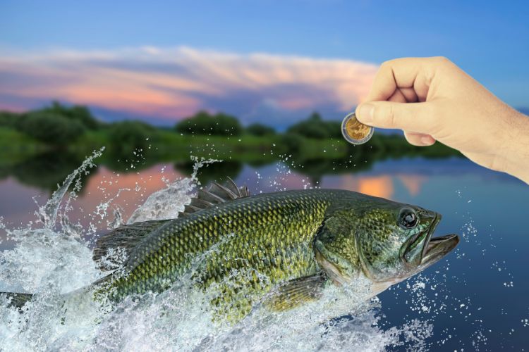 Qual o significado da moeda na boca do peixe em Mateus 172427 Qual o significado da moeda na boca do peixe em Mateus 172427