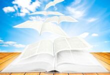 Espírito Santo Esboços para Pregações e Estudos