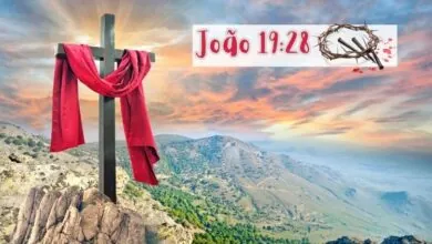 João 19-28 Significado de Jesus dizer tenho sede