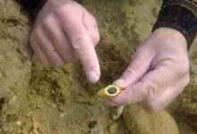 Descobertas de tesouro de naufrágios antigos na costa de Cesareia