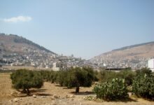Monte Gerizim e Monte Ebal