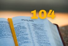 Salmo 104 Estudo versículo por versículo comentado e explicado