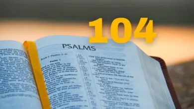 Salmo 104 Estudo versículo por versículo comentado e explicado